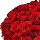 fleuriste fleurs de Ville internet de Dubaï- Bouquet de roses rouges classiques Bouquet/Arrangement floral