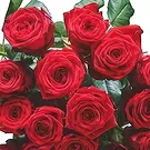 Dänemark Blumen Florist- Zartes Wildfield Bouquet/Blumenschmuck