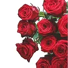 Dänemark Blumen Florist- Zartes Wildfield Bouquet/Blumenschmuck
