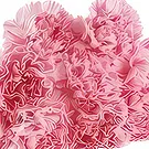 Borec Blumen Florist- Klassische Sympathie-Geste Bouquet/Blumenschmuck