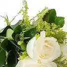 Chile flowers  -  Bouquet of 3 White Roses Flower Bouquet/Arrangement