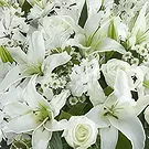 Garhoud flowers  -  Classic White Flower Vase Flower Bouquet/Arrangement