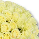 An-Najadah blomster- Klassisk hvite rosebukett Blomsterarrangementer bukett