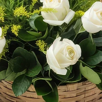 Σαλβαντόρ λουλούδια- Καλάθι με 24 Λευκά Τριαντάφυλλα και Αφρώδη Οί Μπουκέτο/ρύθμιση λουλουδιών