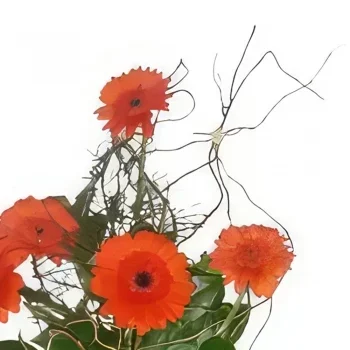 Гданск цветя- Оранжева комбинация Букет/договореност цвете