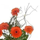 Malta flowers  -  Orange Combination Flower Bouquet/Arrangement