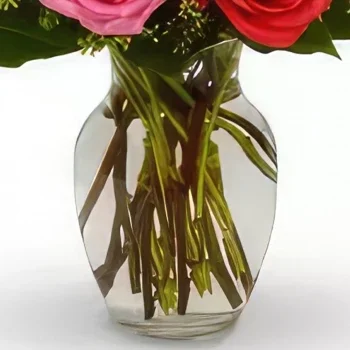 Ίνσμπρουκ λουλούδια- Colour Burst Μπουκέτο/ρύθμιση λουλουδιών