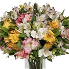 Greece flowers  -  Multicolored Alstroemeria Bouquet Flower Bouquet/Arrangement
