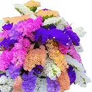 Cala Vadella flowers  -  Colorful Vibes Flower Bouquet/Arrangement