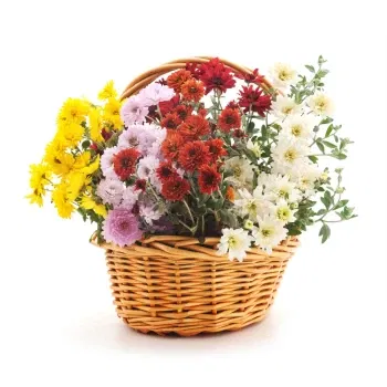 neapol kvety- Košík Farebných Chryzantémových Rastlín