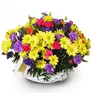 Malbork flowers  -  wishes Flower Bouquet/Arrangement