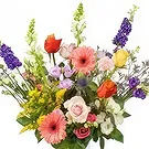 Amsterdam-Zuidoost flowers  -  Colorful field bouquet Flower Bouquet/Arrangement