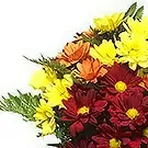 Prokuplje flowers  -  Fresh Colors Flower Bouquet/Arrangement