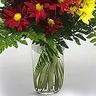 Prokuplje flowers  -  Fresh Colors Flower Bouquet/Arrangement