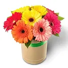 fleuriste fleurs de Bata- Bouquets de joie Bouquet/Arrangement floral