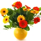 Oman flowers  -  Vase arrangement of colourful gerberas Flower Bouquet/Arrangement