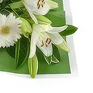Ajtos Blumen Florist- Beruhigende weiße Blumen Bouquet/Blumenschmuck