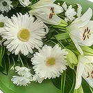 Ajtos Blumen Florist- Beruhigende weiße Blumen Bouquet/Blumenschmuck
