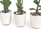 Swallow flowers  -  Charming Flower Bouquet/Arrangement