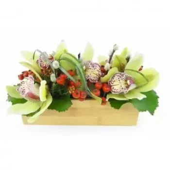 flores Abergement-le-Petit floristeria -  Composición Tumbado Verde Santa Ana Ramos de  con entrega a domicilio