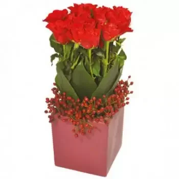 Achy kukat- Neliön muotoinen koostumus punaisista ruusuis Kukka Toimitus