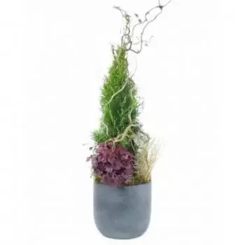 Nice online Florist - Abies height plant mourning composition Bouquet