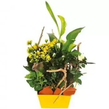 Marseille flowers  -  Yellow & white mourning composition Intensity Flower Delivery
