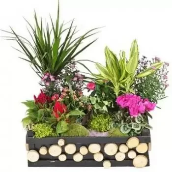 Tarbes онлайн магазин за цветя - Траурна композиция Градината на Олимп Букет