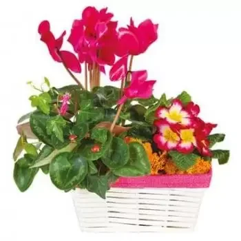 flores Tarbes floristeria -  Composición de luto rosa-fucsia Eternal Journ Ramos de  con entrega a domicilio