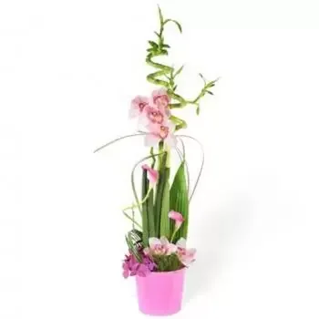fiorista fiori di Aiguilles- Composizione Floreale Esuberanza Fiore Consegna