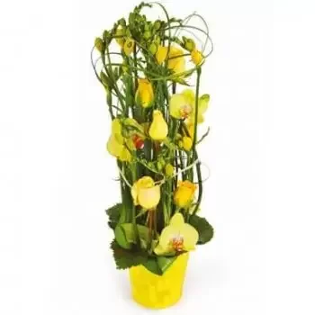 Ranska kukat- Keltaisten kukkien koostumus Bora-Bora Kukka Toimitus