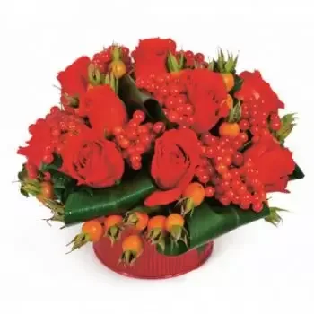 Albiez-le-Jeune kukat- Malagan punaisten kukkien koostumus Kukka Toimitus