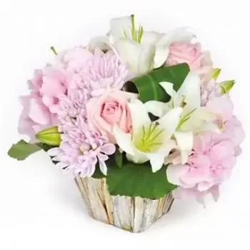 ריימס פרחים- סידור פרחים של ורד בקטיפה פרח משלוח
