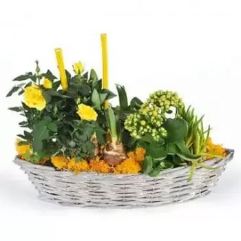 Pau online Blomsterhandler - Sammensætning af planter Etamine blomsterhand Buket