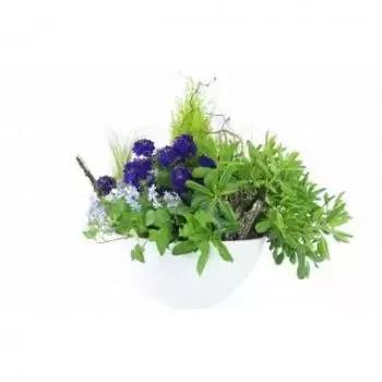 Les Trois-Bassins Floristeria online - Composición de plantas moradas y azules Natur Ramo de flores