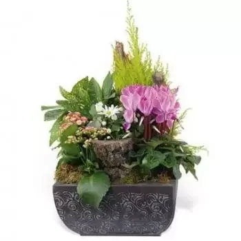 Kiva Online kukkakauppias - Kasvien koostumus äärettömään suruun Kimppu