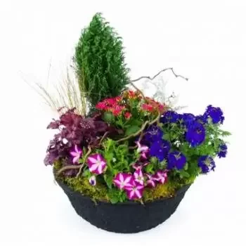 Paris Blumen Florist- Zusammensetzung von rosa und blauen Pflanzen  Bouquet/Blumenschmuck