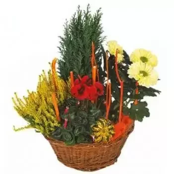 Pau Florista online - Composição de luto em vermelho e amarelo Jard Buquê