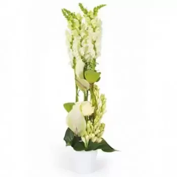 fiorista fiori di Baillif- Composizione bianca Sissi Fiore Consegna