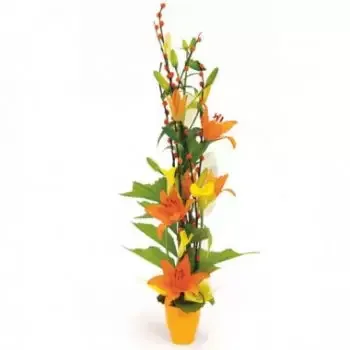 fleuriste fleurs de Lille- Composition florale Abricot Fleur Livraison