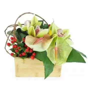Allex çiçek- Aurora Yeşil Kare Çiçek Aranjmanı Çiçek Teslimat