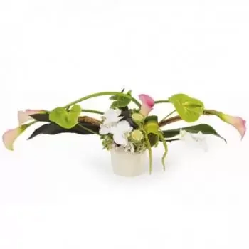 fleuriste fleurs de Bordeaux- Composition horizontale Eventail Fleur Livraison