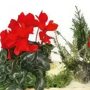 Tarbes цветя- Композиция от зелени растения и цветя Etincel Букет/договореност цвете