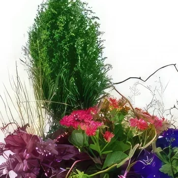 בורדו פרחים- הרכב צמחים ורודים וכחולים Plantae זר פרחים/סידור פרחים