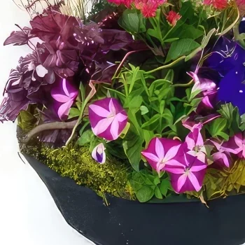 fiorista fiori di bordò- Composizione di piante rosa e blu Plantae Bouquet floreale