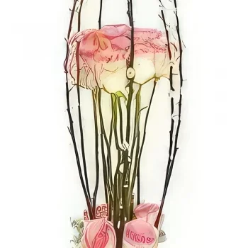 Kiva kukat- Vaaleanpunaisten ruusujen koostumus Cage d'Am Kukka kukkakimppu