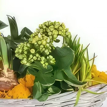Στρασβούργο λουλούδια- Σύνθεση φυτών Etamine το ανθοπωλείο Μπουκέτο/ρύθμιση λουλουδιών