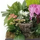 巴黎 花- 无限哀悼植物的构成 花的花束安排