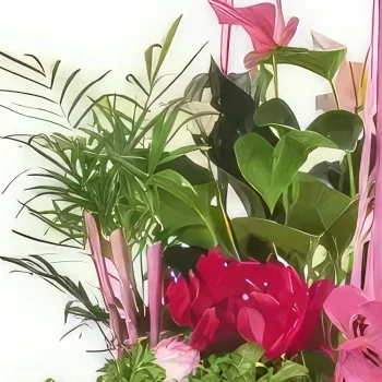 Lille kukat- Kasvien koostumus Le Jardin des Druides Kukka kukkakimppu