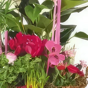 Lille kukat- Kasvien koostumus Le Jardin des Druides Kukka kukkakimppu
